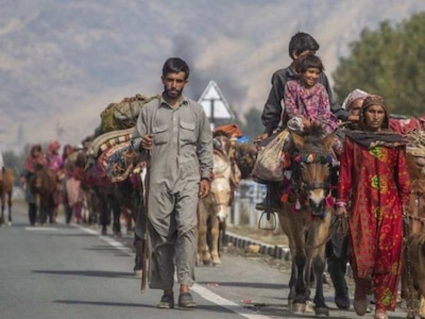 मिशन जम्मू-कश्मीर' के लिए जरूरी हैं ये 16 सीटें, किसकी कुर्सी सुरक्षित करेंगी 'आरक्षित' सीटें?