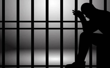 मध्य प्रदेश हाईकोर्ट से जनहित याचिका में जमानत और सजा के निलंबन की याचिकाओं पर निर्णय लेने में अनावश्यक देरी से बचने के लिए निर्देश देने की मांग