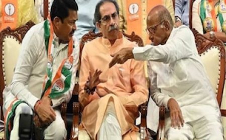 महाराष्ट्र चुनाव: 'कांग्रेस को नहीं पता पॉलिटिक्स का क-ख-ग-घ...,' बयान पंचर कर देगा महाविकास अघाड़ी की गाड़ी?