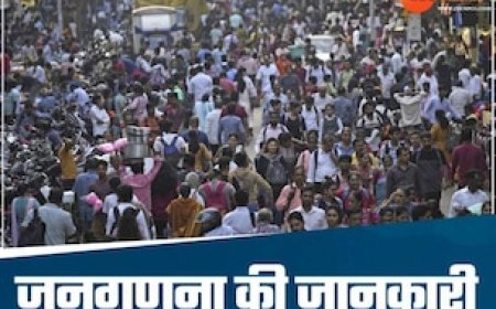 आखरी बार कब हुई थी जनगणना, कैसे होती है पूरी प्रोसेस, कैसे होती है हमारी गिनती
