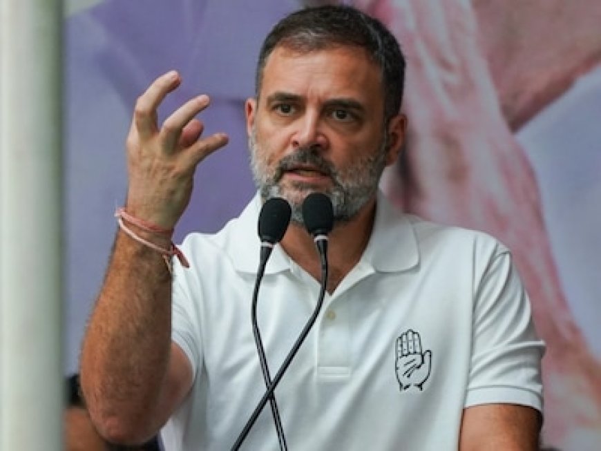 हार की समीक्षा बैठक में हु़ड्डा-सैलजा नहीं? स्टेट लीडरशिप को लेकर राहुल गांधी की दोटूक