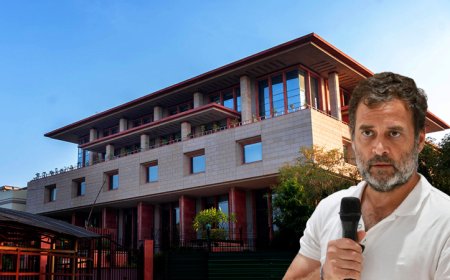 राहुल गांधी की नागरिकता को लेकर दिल्ली हाईकोर्ट में पेश हुए याचिकाकर्ता, किया CBI जांच का दावा