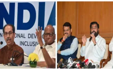 महाराष्ट्र चुनाव रिजल्ट 2024: महायुति की सुनामी, महाविकास अघाड़ी की बड़ी हार-जानिए 10 बड़े कारण