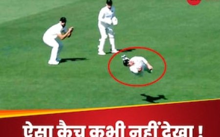 Video:चीते जैसे तेजी... बाज-सी नजर, हवा में उड़ते हुए फील्डर ने लपका अद्भुत कैच, क्रिकेट जगत हैरान