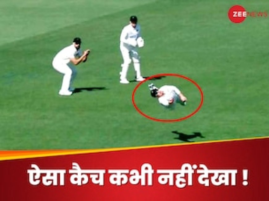Video:चीते जैसे तेजी... बाज-सी नजर, हवा में उड़ते हुए फील्डर ने लपका अद्भुत कैच, क्रिकेट जगत हैरान