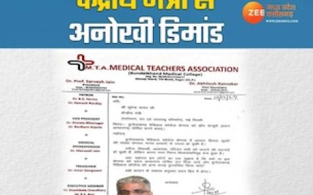 बुंदेलखंड मेंडिकल कॉलेज को डॉग सेंचुरी बना दीजिए', प्रोफेसर बोले-इंसानों से ज्यादा यहां कुत्तों की आबादी