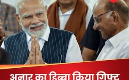 अचानक प्रधानमंत्री मोदी से मिले शरद पवार; गिफ्ट में दिया अनार का डिब्बा
