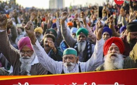 मोदी सरकार 3.0 ने किसानों के आंदोलन से क्यों बनाई दूरी? बदले रुख के पीछे हो सकते हैं ये 3 कारण