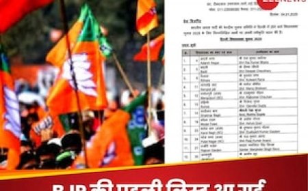 नई दिल्ली से प्रवेश वर्मा.. कालकाजी से रमेश विधूड़ी, दिल्ली चुनाव के लिए बीजेपी ने जारी कर दी 29 उम्मीदवारों की पहली लिस्ट