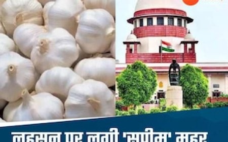 'लहसुन सब्जी है, मसाला नहीं', सुप्रीम कोर्ट ने सुनाया फैसला, 8 साल पुराना विवाद हुआ खत्म