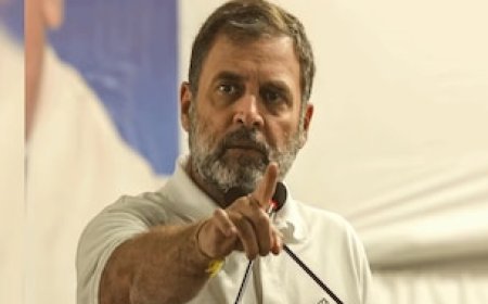 जॉर्ज सोरोस की प्लेबुक से निकला है 'इंडियन स्टेट' वाला बयान... राहुल पर आज इतना क्यों भड़क गई BJP?