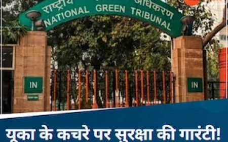 यूनियन कार्बाइड के जहरीले कचरे पर आया बड़ा फैसला, जानिए NGT ने क्या कहा?