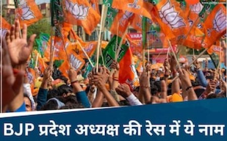 MP में टल सकता है BJP प्रदेश अध्यक्ष का चुनाव, छत्तीसगढ़ की वजह से बदलेगा समीकरण!