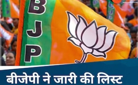 छत्तीसगढ़ नगर निगम चुनाव में BJP की नई लिस्ट जारी, इन नेताओं मिली बड़ी जिम्मेदारी