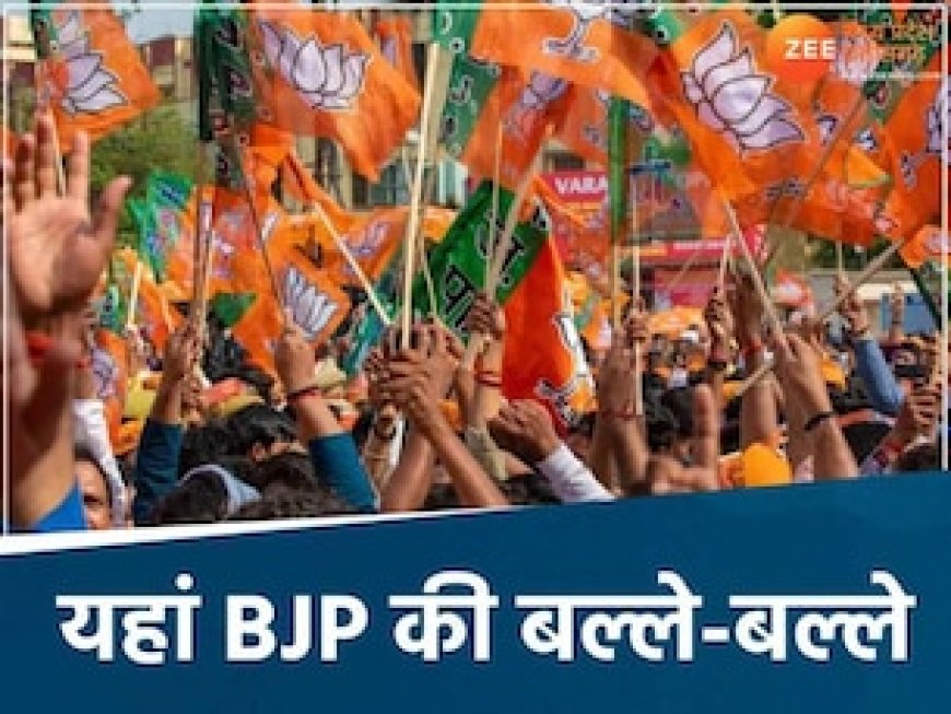 छत्तीसगढ़ निकाय चुनाव में वोटिंग से पहले ही शुरू हुआ खेला, 4 जगह BJP की जीत तय