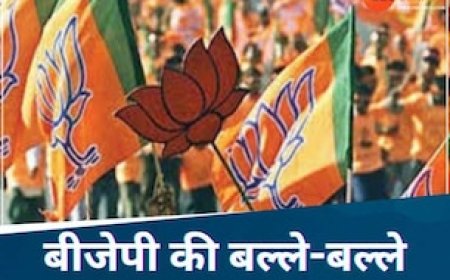 छत्तीसगढ़ में कांग्रेस को बड़ा झटका, चुनाव से पहले ही कई जगहों पर जीती बीजेपी, अध्यक्ष पद पर भी कब्जा