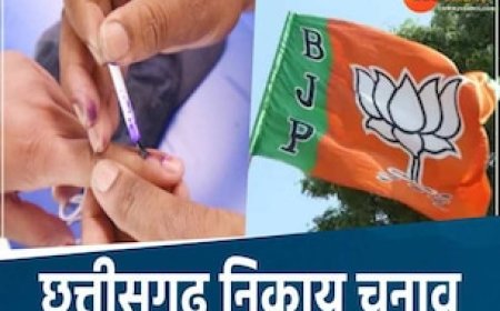 छत्तीसगढ़ निकाय चुनाव में वोटिंग से पहले ही बड़ा खेला, BJP बिना लड़े ही जीती 23 वॉर्ड, यहां भी वॉकओवर