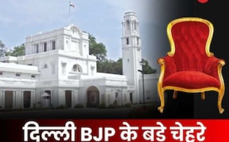 जाति या क्षेत्रीय... किस समीकरण के साथ CM चेहरे का ऐलान करेगी BJP; क्या एक बार फिर करेगी Shocked?