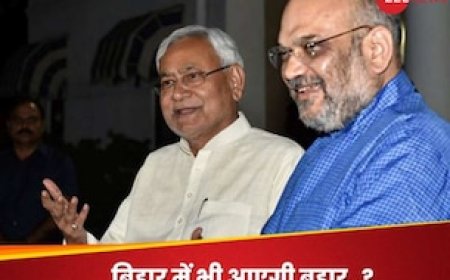 बिहार में दिल्ली का साइड इफेक्ट...फिर नीतीश का क्या होगा? 'सीक्रेट' है बीजेपी का गेम प्लान