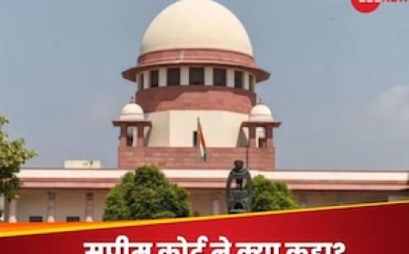 'वफादार रखैल' हाईकोर्ट ने महिलाओं के लिए यह क्या बोल दिया? सुप्रीम कोर्ट ने फटकार लगा दी