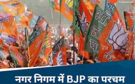 छत्तीसगढ़ में भाजपा की ऐतिहासिक जीत, नगर निगम चुनाव में हाथ साफ..