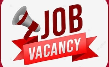 मध्य प्रदेश आबकारी कांस्टेबल भर्ती 2025; आज से करें आवेदन, जानिए परीक्षा पैटर्न और पात्रता की पूरी जानकारी