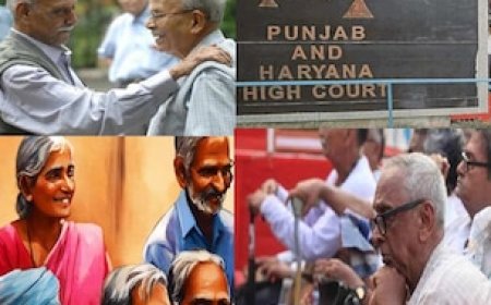 77 की उम्र में मां कैसे जिएगी? 5000 रुपये के लिए चले आए हाईकोर्ट... दिल छू लेगा जज साहब का फैसला