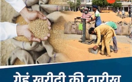 MP के किसानों को खुशखबरी, इस तारीख से होगी गेहूं खरीदी, मिलेंगे 2425 रुपए