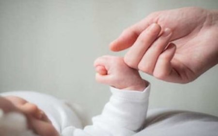 MP में NHM संविदाकर्मियों के लिए खुशखबरी, मिलेंगी मैटरनिटी लीव, इस दिन से होगी लागू