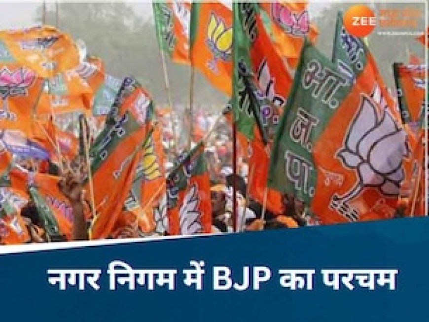 छत्तीसगढ़ में भाजपा की ऐतिहासिक जीत, नगर निगम चुनाव में हाथ साफ..