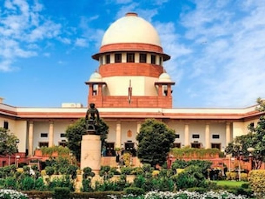 दोषी राजनेताओं पर न लगे आजीवन प्रतिबंध, केंद्र ने सुप्रीम कोर्ट से क्यों कही ये बात?