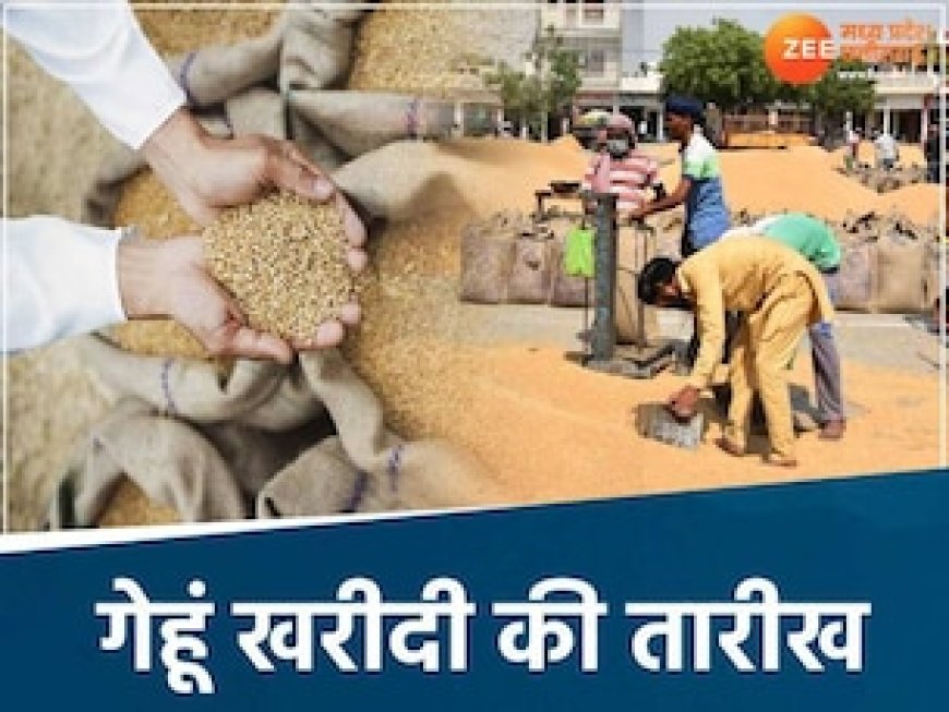 MP के किसानों को खुशखबरी, इस तारीख से होगी गेहूं खरीदी, मिलेंगे 2425 रुपए