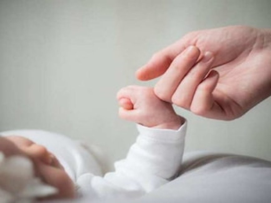 MP में NHM संविदाकर्मियों के लिए खुशखबरी, मिलेंगी मैटरनिटी लीव, इस दिन से होगी लागू