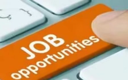 20 से 28 साल के युवाओं के लिए बैंक ऑफ इंडिया में नौकरी का सुनहरा मौका, जानें क्या है योग्यता