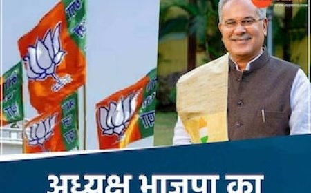 भूपेश बघेल के गढ़ में BJP ने बनाया अपना जनपद अध्यक्ष, 25 में से 18 का समर्थन