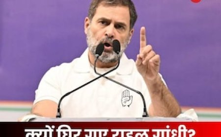 'चुनाव तो जिता नहीं पाते, अपनी नाकामी का दूसरों पर फोड़ रहे ठीकरा', राहुल पर बरसी BJP