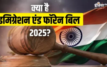 अब घुसपैठियों की खैर नहीं, खत्म होने जा रहे ये पुराने 4 कानून; नए बिल में क्या-क्या है प्रावधान?