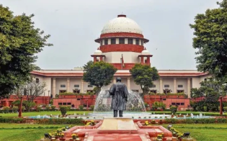 प्रयागराज में जिस तरह से घरों को किया गया ध्वस्त, उससे हमारी अंतरात्मा को लगा धक्का', सुप्रीम कोर्ट की टिप्पणी