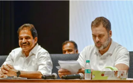 यह वह भारत नहीं जिसे कांग्रेस बनाना चाहती थी', राहुल गांधी ने दिया बयान, भाजपा पर साधा निशाना