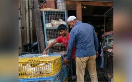 MP के इस शहर में मांसाहारी खाद्य पदार्थों पर प्रतिबंध, भोपाल-इंदौर में भी इन तारीखों पर बंद रहेंगी दुकानें