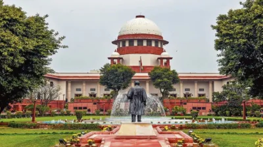 प्रयागराज में जिस तरह से घरों को किया गया ध्वस्त, उससे हमारी अंतरात्मा को लगा धक्का', सुप्रीम कोर्ट की टिप्पणी