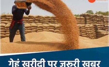 MP के किसानों के लिए खुशखबरी, गेहूं खरीदी पर मोहन सरकार एक और बड़ा फैसला