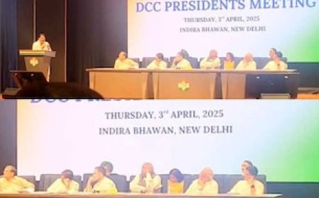 दिल्ली में हुई बैठक में राहुल गांधी के सामने रायगढ़ जिला अध्यक्ष ने बताई सच्चाई, खड़गे इधर-उधर देखते रहे