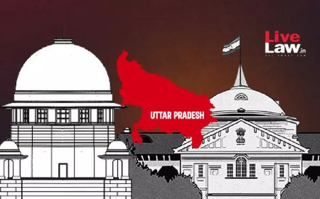 बाल तस्करी मामलों में जमानत को चुनौती न देने पर सुप्रीम कोर्ट ने यूपी सरकार से किया सवाल, इलाहाबाद हाईकोर्ट के रवैये की आलोचना