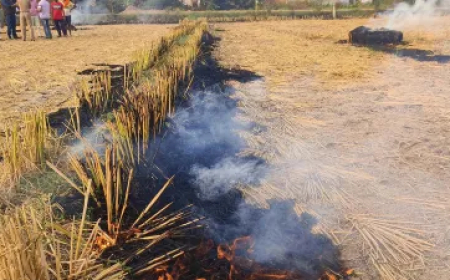 इंदौर में पराली जलाने पर 770 किसानों पर तगड़ा जुर्माना, खेत मालिकों के खिलाफ FIR दर्ज