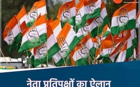 छत्तीसगढ़ में कांग्रेस ने सभी नगर निगमों में घोषित किए नेता प्रतिपक्ष, रायपुर में अहम बदलाव