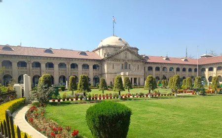 घरेलू हिंसा अधिनियम के तहत सास भी दर्ज करा सकती है मामला: इलाहाबाद हाईकोर्ट