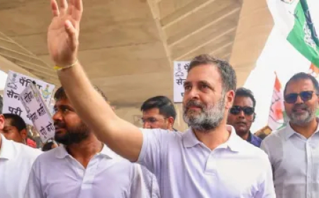 राहुल गांधी की नागरिकता का मामला, कोर्ट ने केंद्र सरकार को दिया 10 दिन का समय