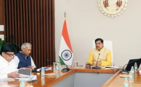 हर परिवार में कम से कम एक व्यक्ति को रोजगार का अवसर उपलब्ध कराएं', CM मोहन यादव का निर्देश