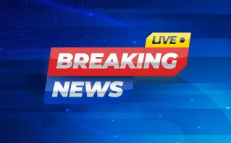 पाकिस्तान को मिलेगा अब भारत का करारा जवाब, पीएम मोदी ने सेना को खुली छूट दी